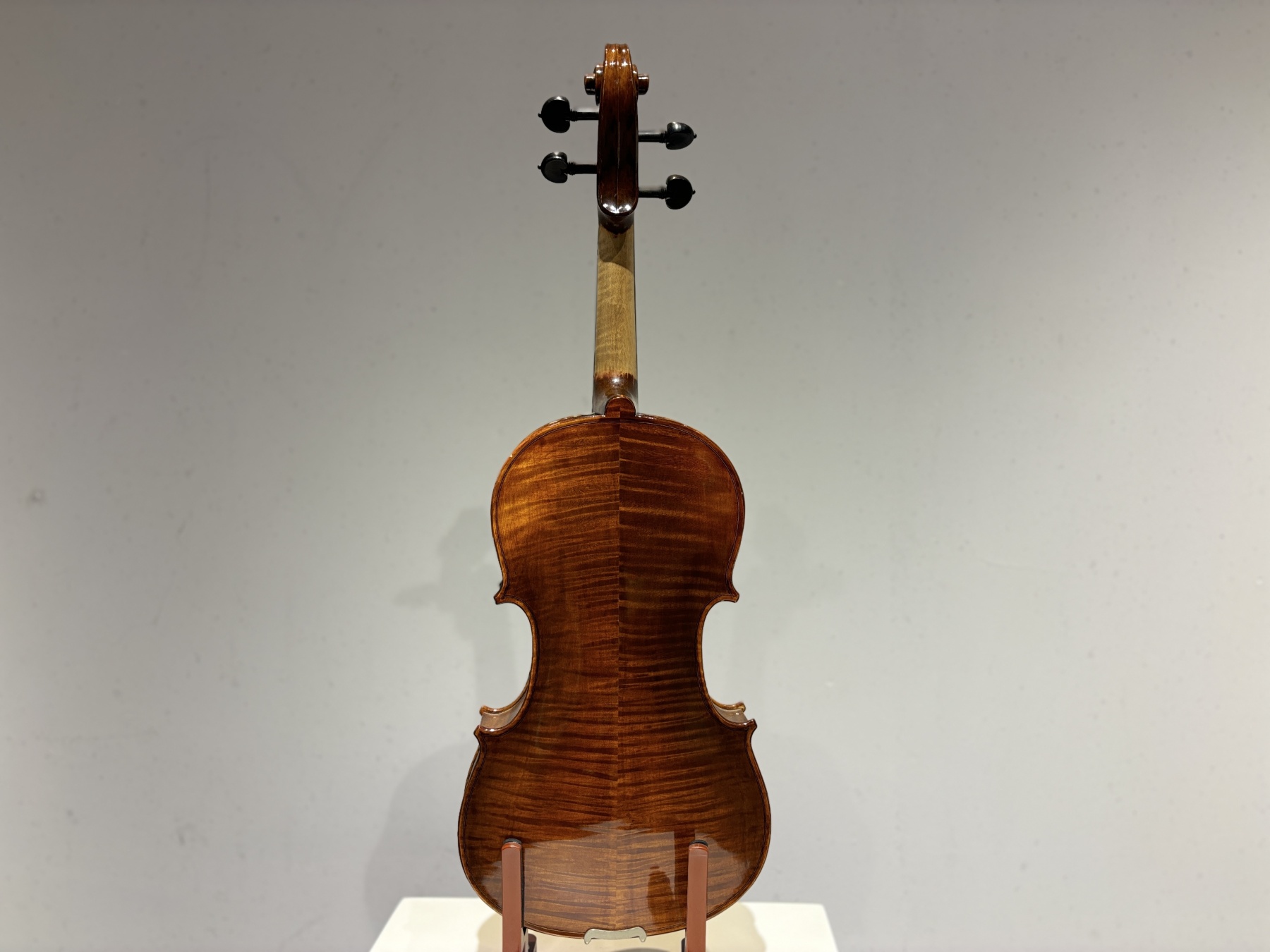 D E - PS04  Performance  Violin Outfit