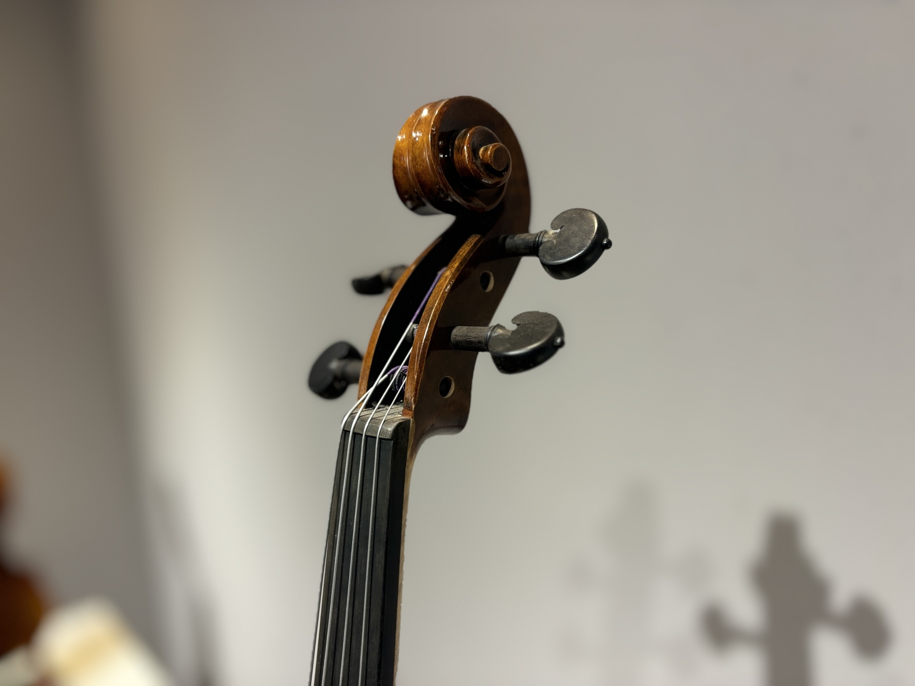 D E - PS04  Performance  Violin Outfit