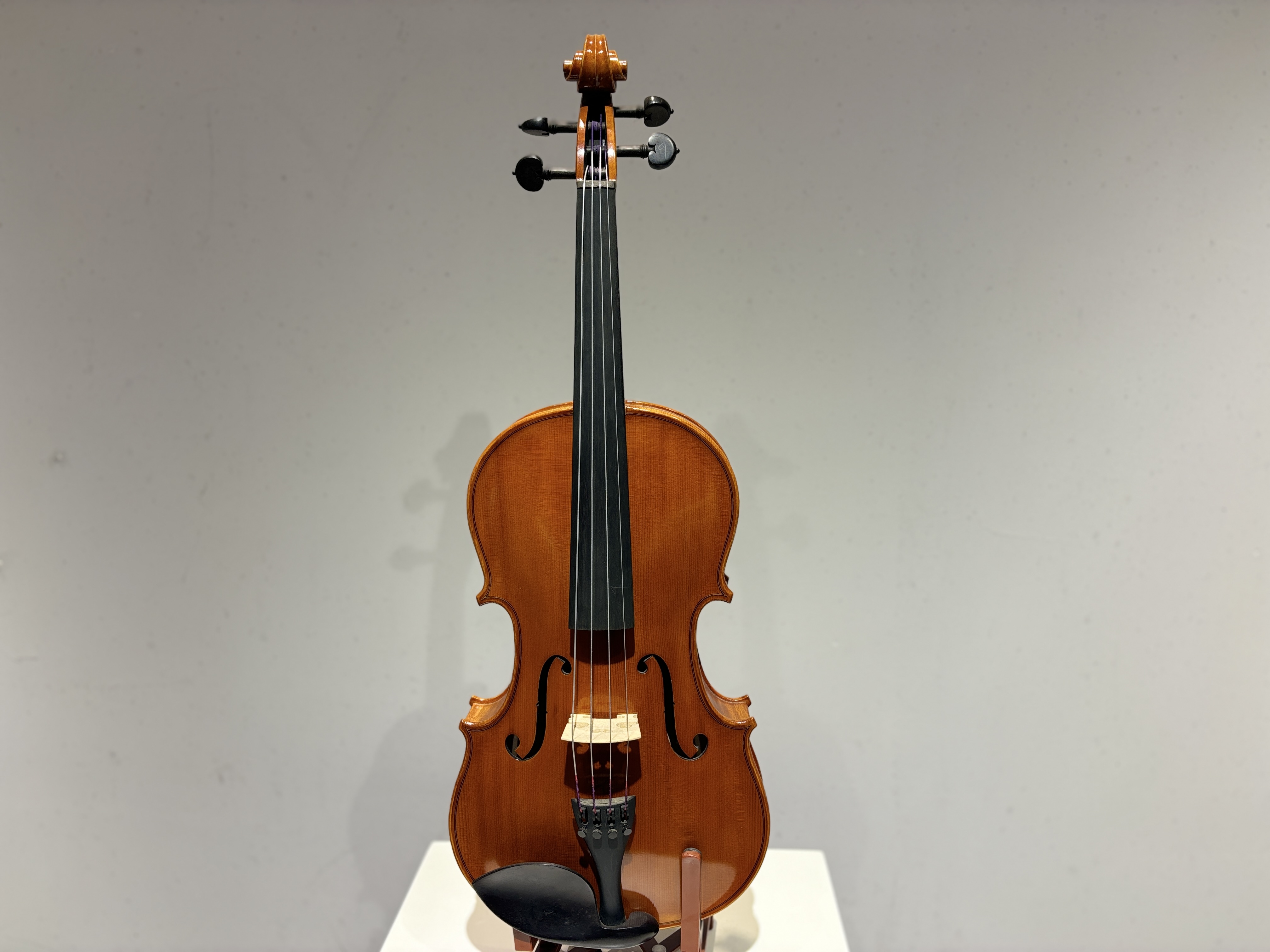 D E - PS07  Performance  Violin Outfit