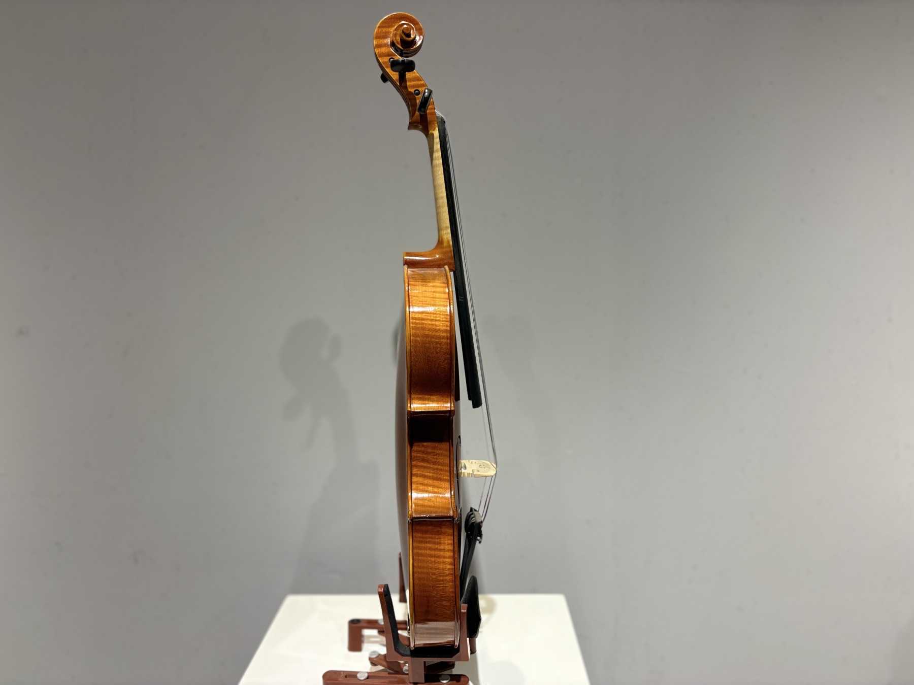 D E - PS07  Performance  Violin Outfit