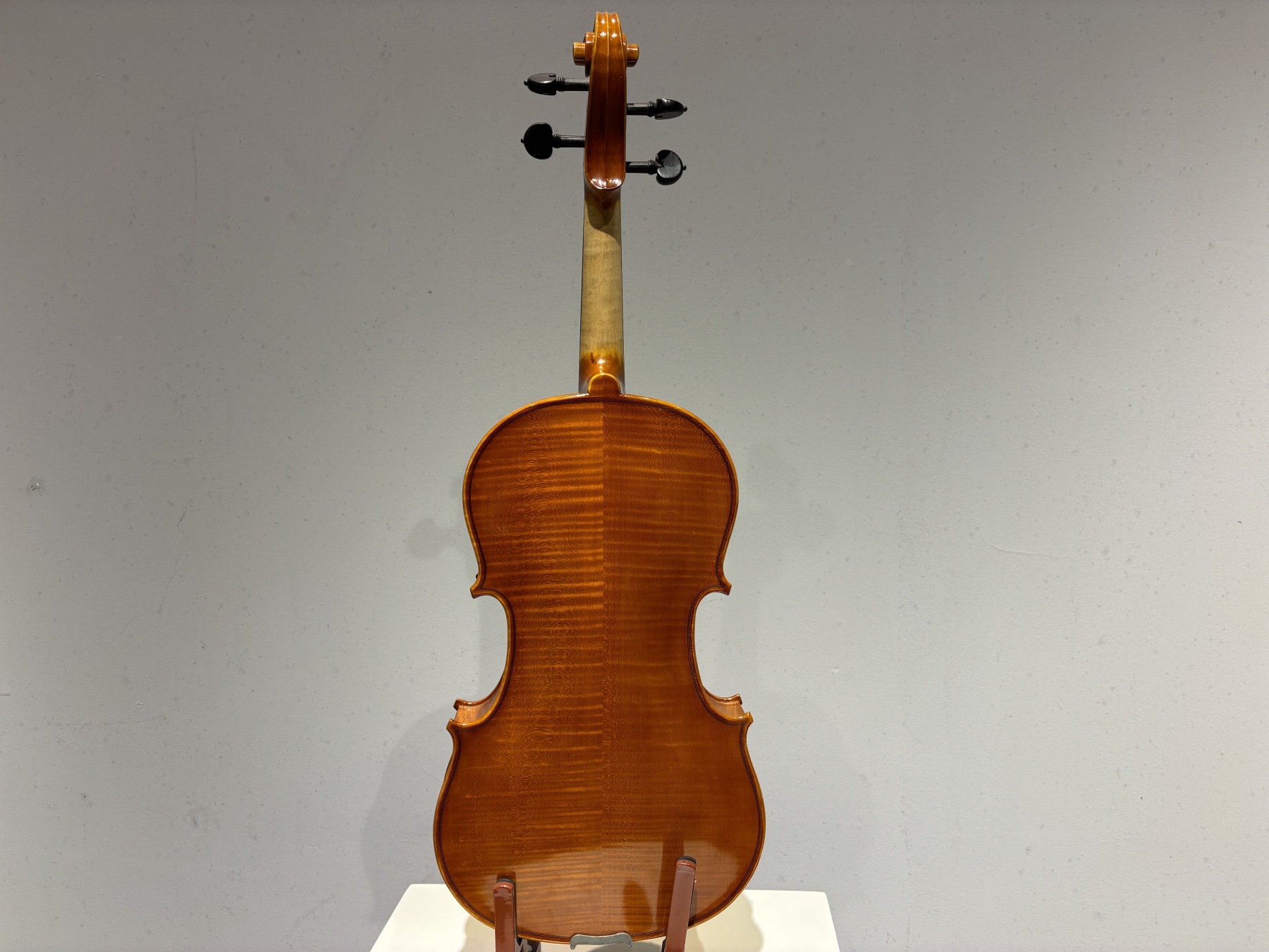 D E - PS07  Performance  Violin Outfit