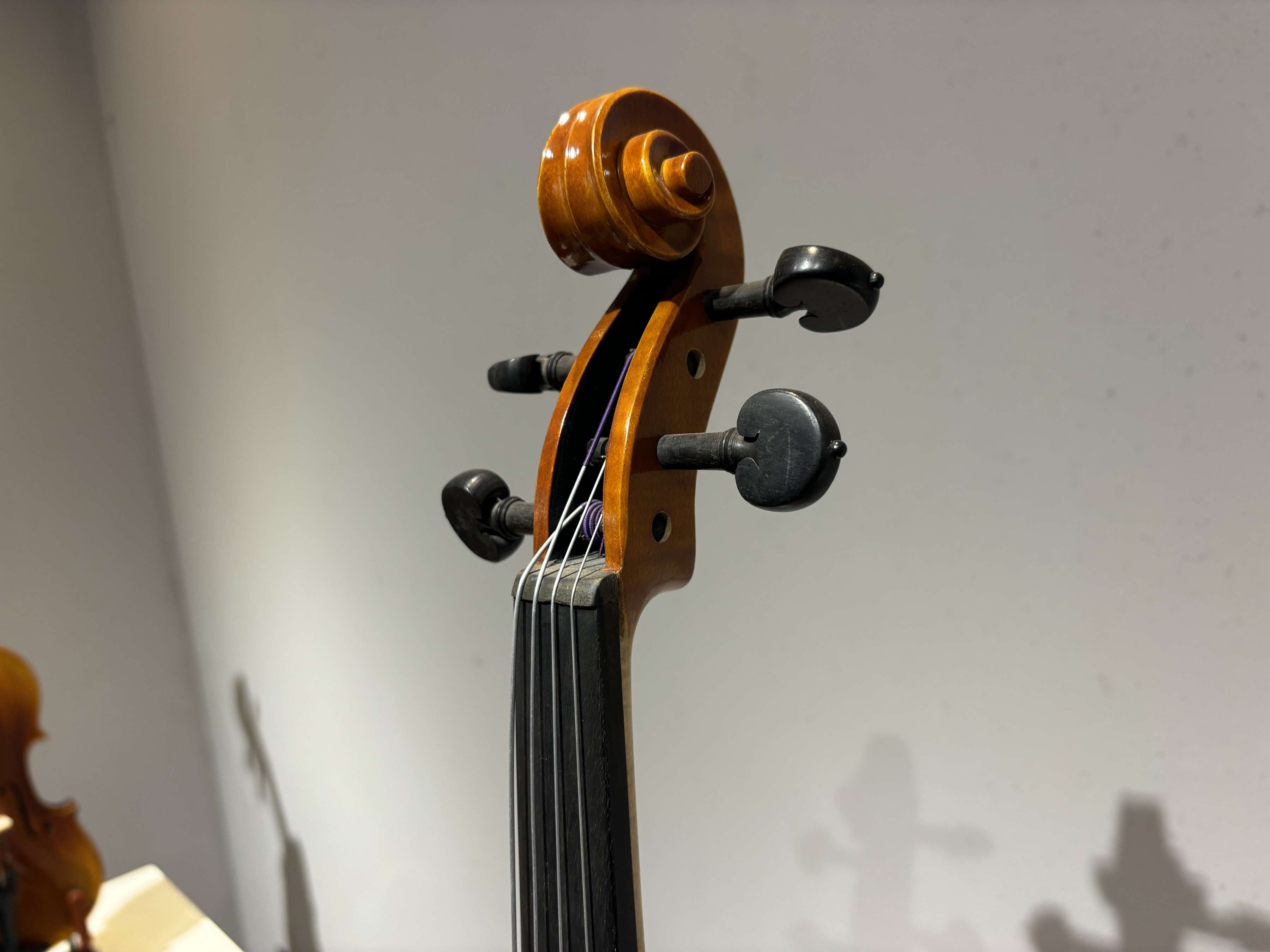 D E - PS07  Performance  Violin Outfit