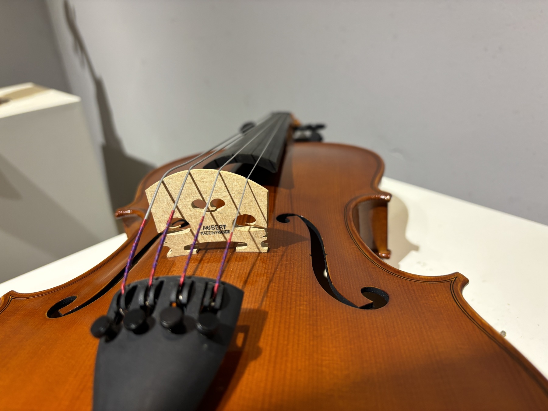 D E - PS07  Performance  Violin Outfit