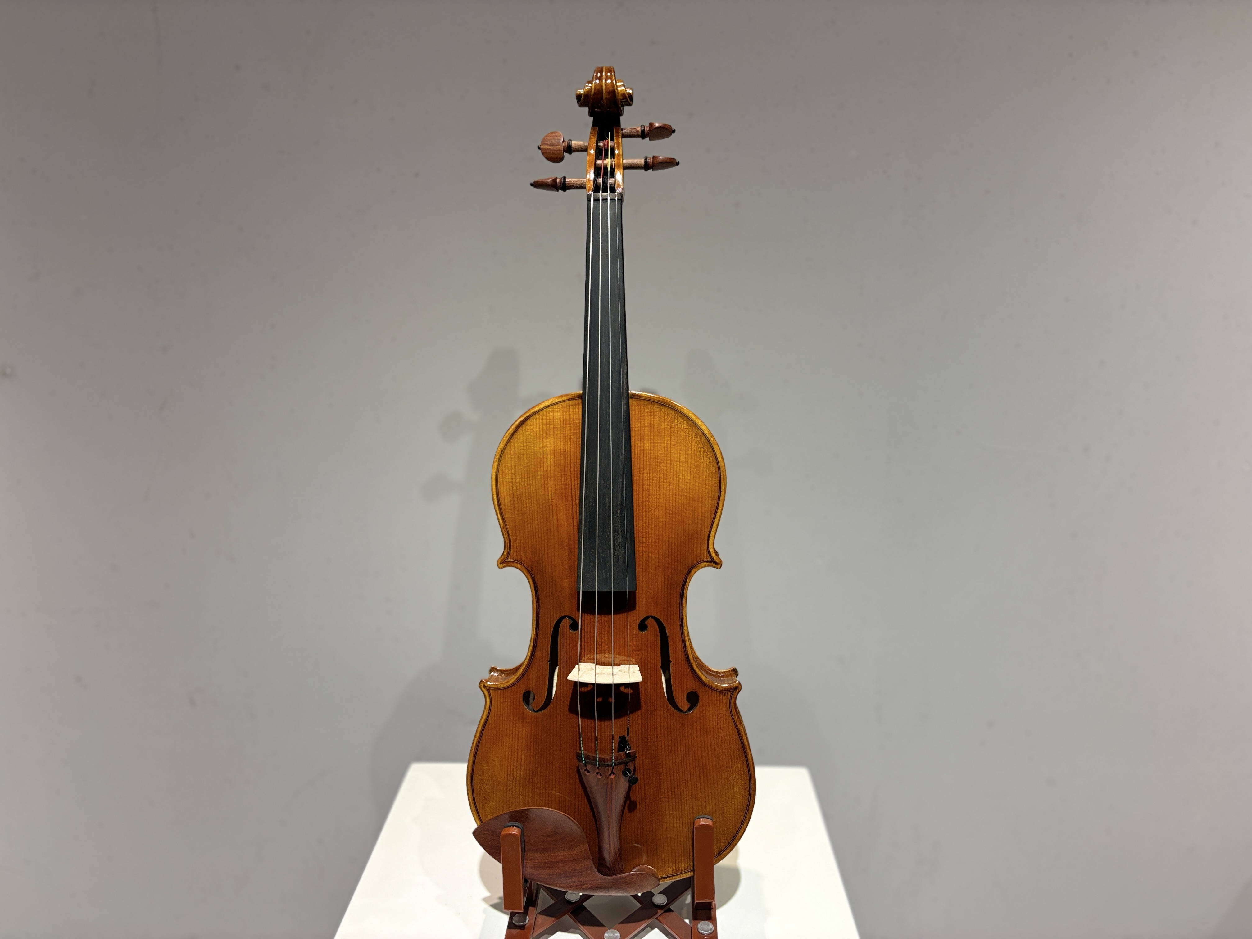 D E - PS06  Performance  Violin Outfit