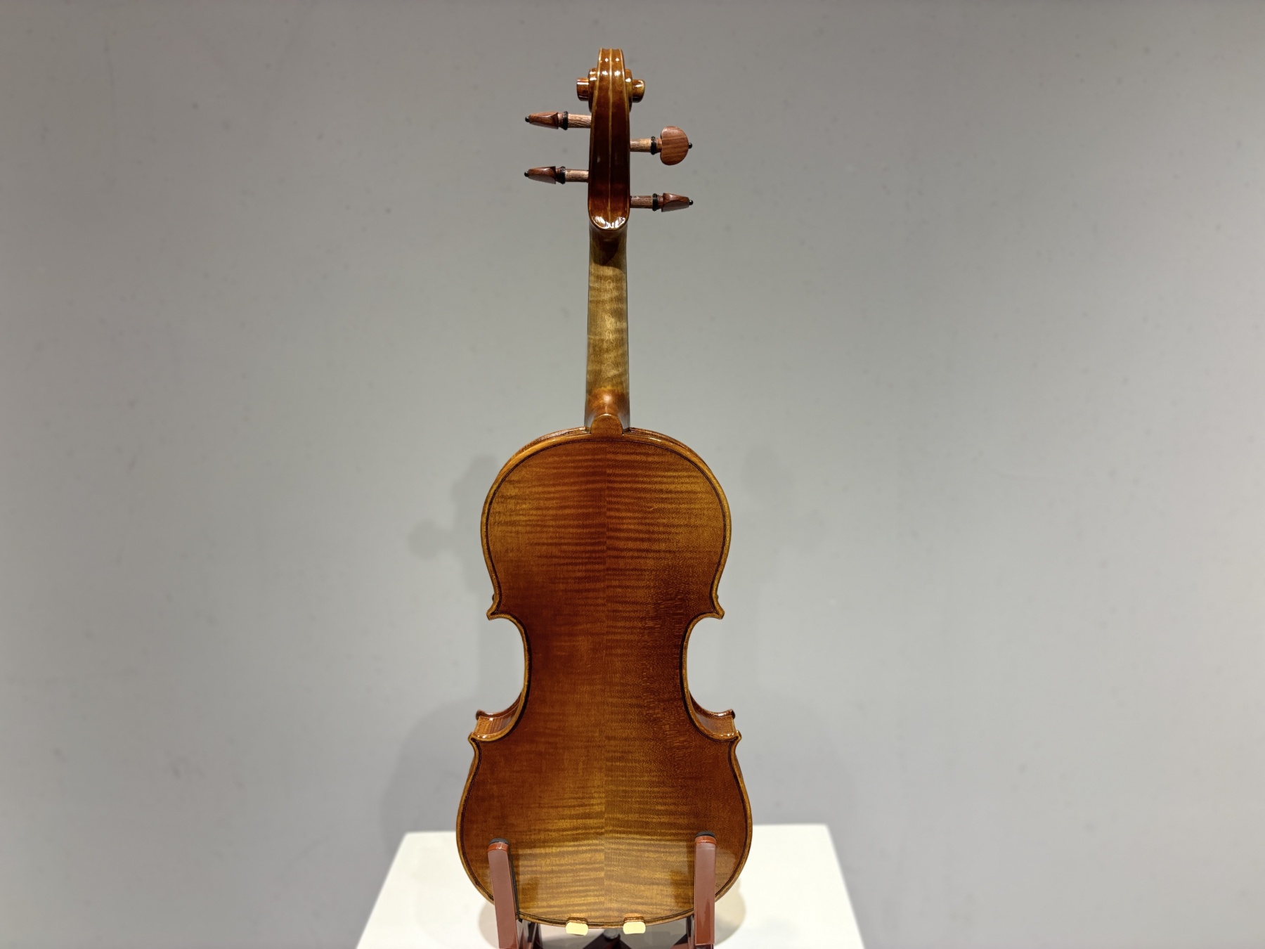 D E - PS06  Performance  Violin Outfit