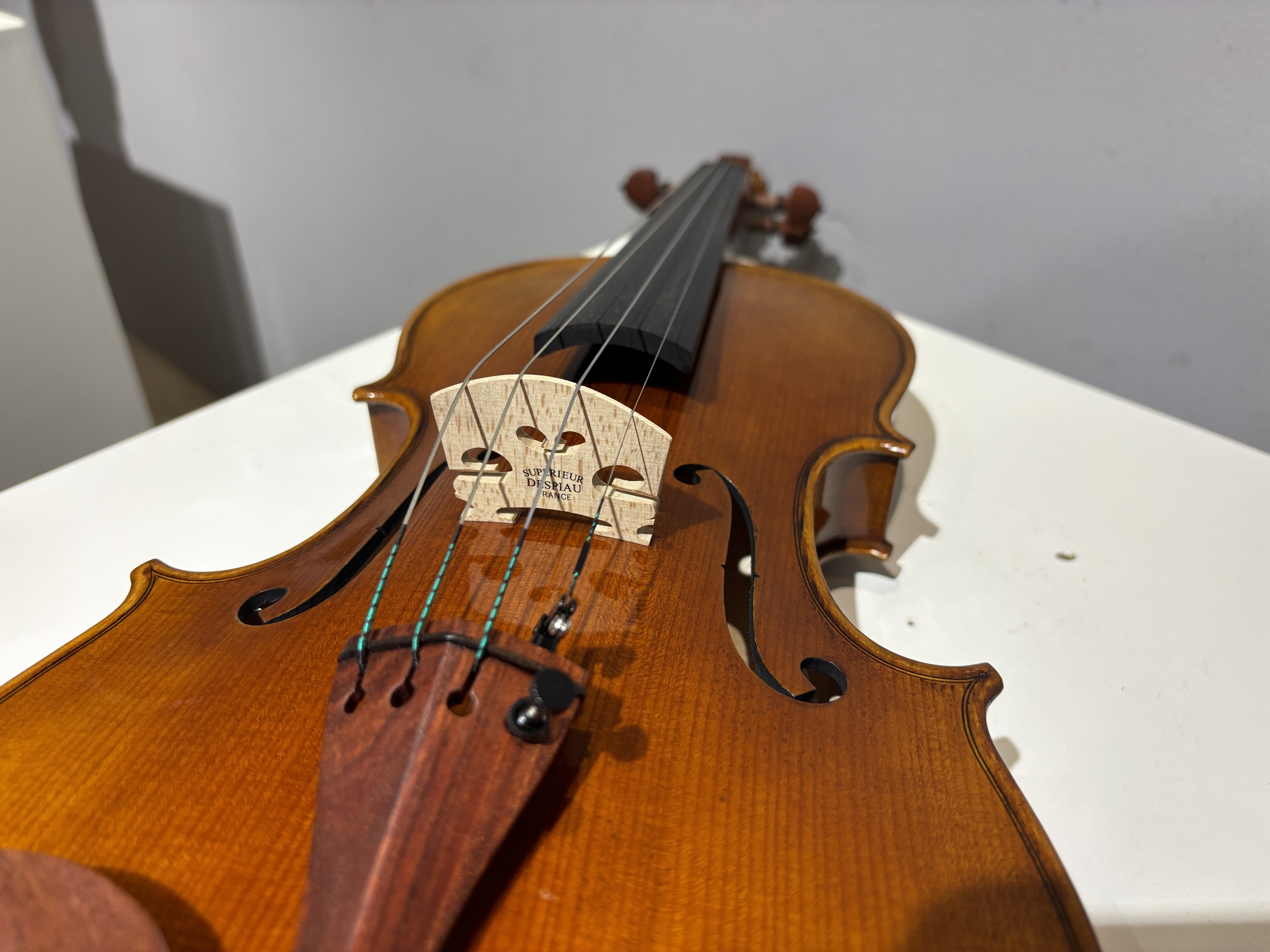 D E - PS06  Performance  Violin Outfit