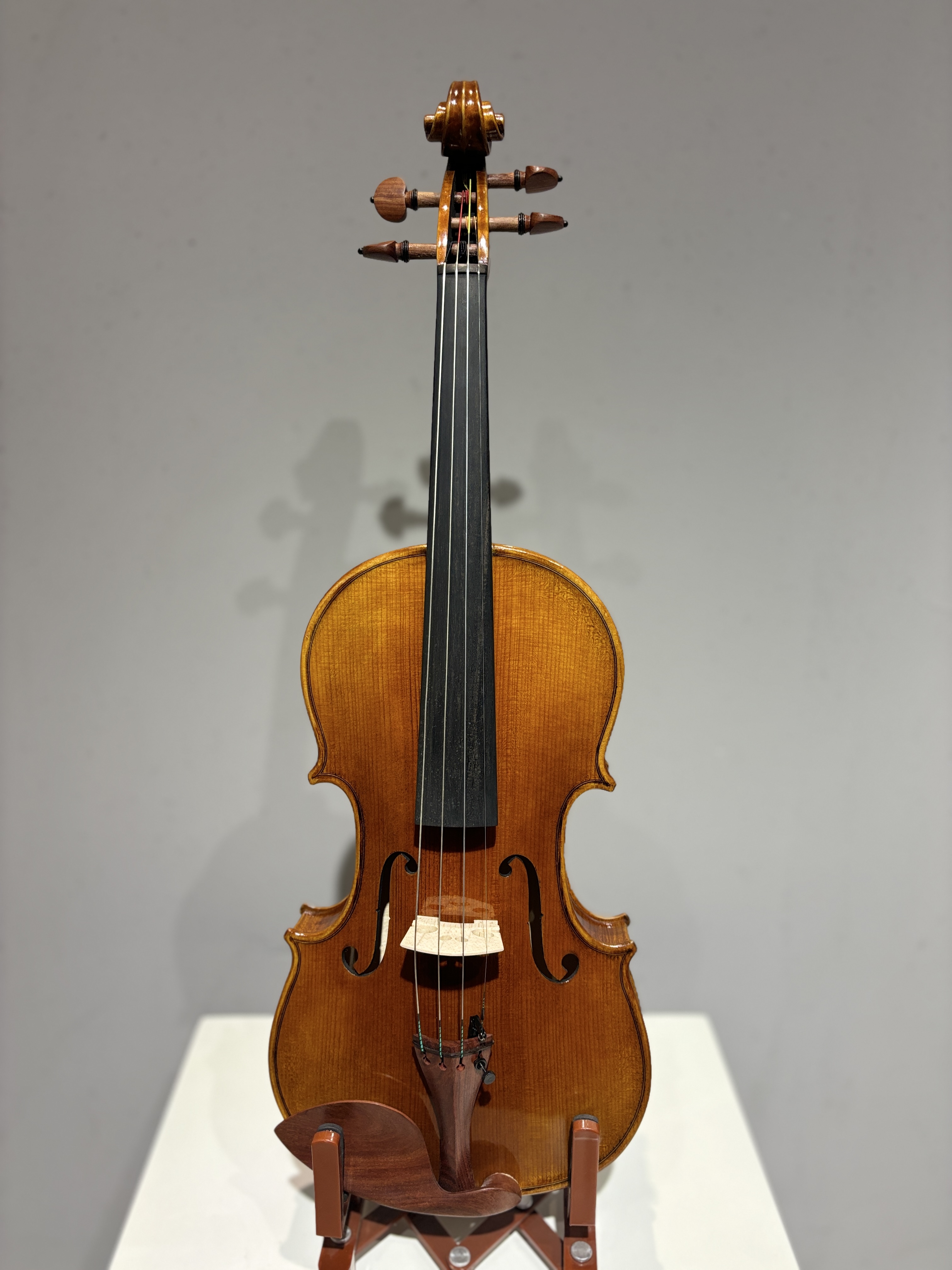 D E - PS05  Performance  Violin Outfit