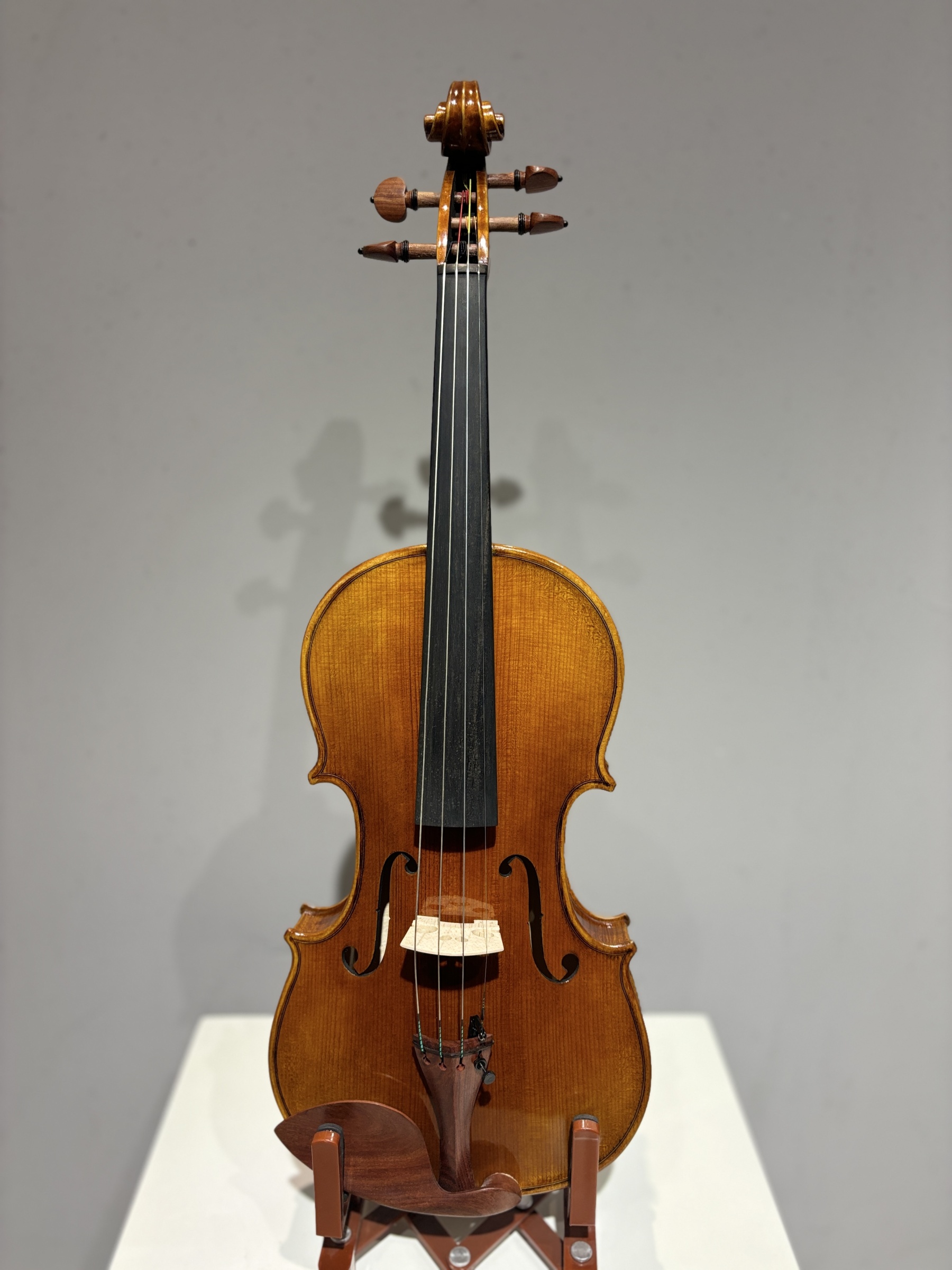 D E - PS01 Performance Violin Outfit