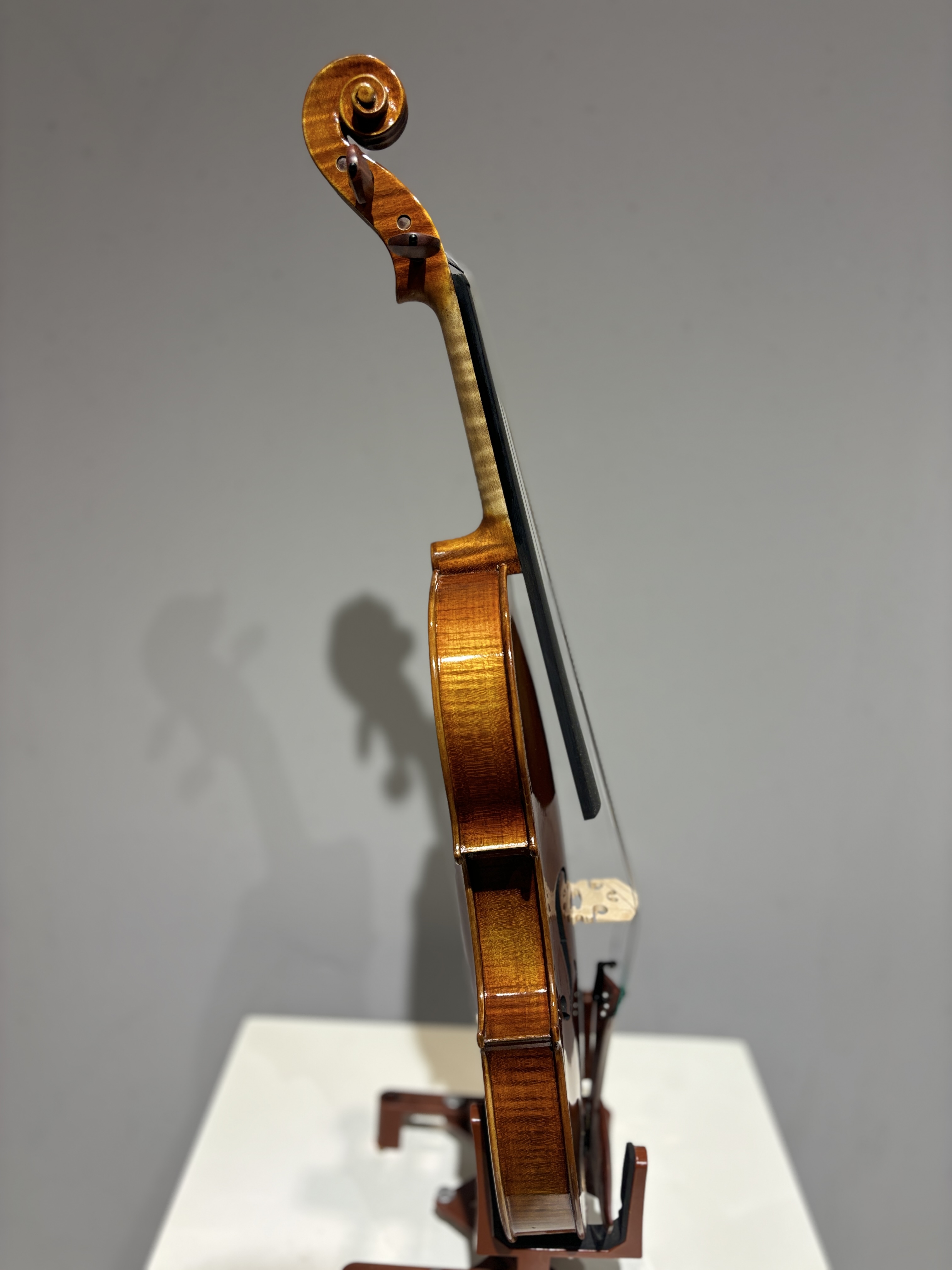 D E - PS05  Performance  Violin Outfit