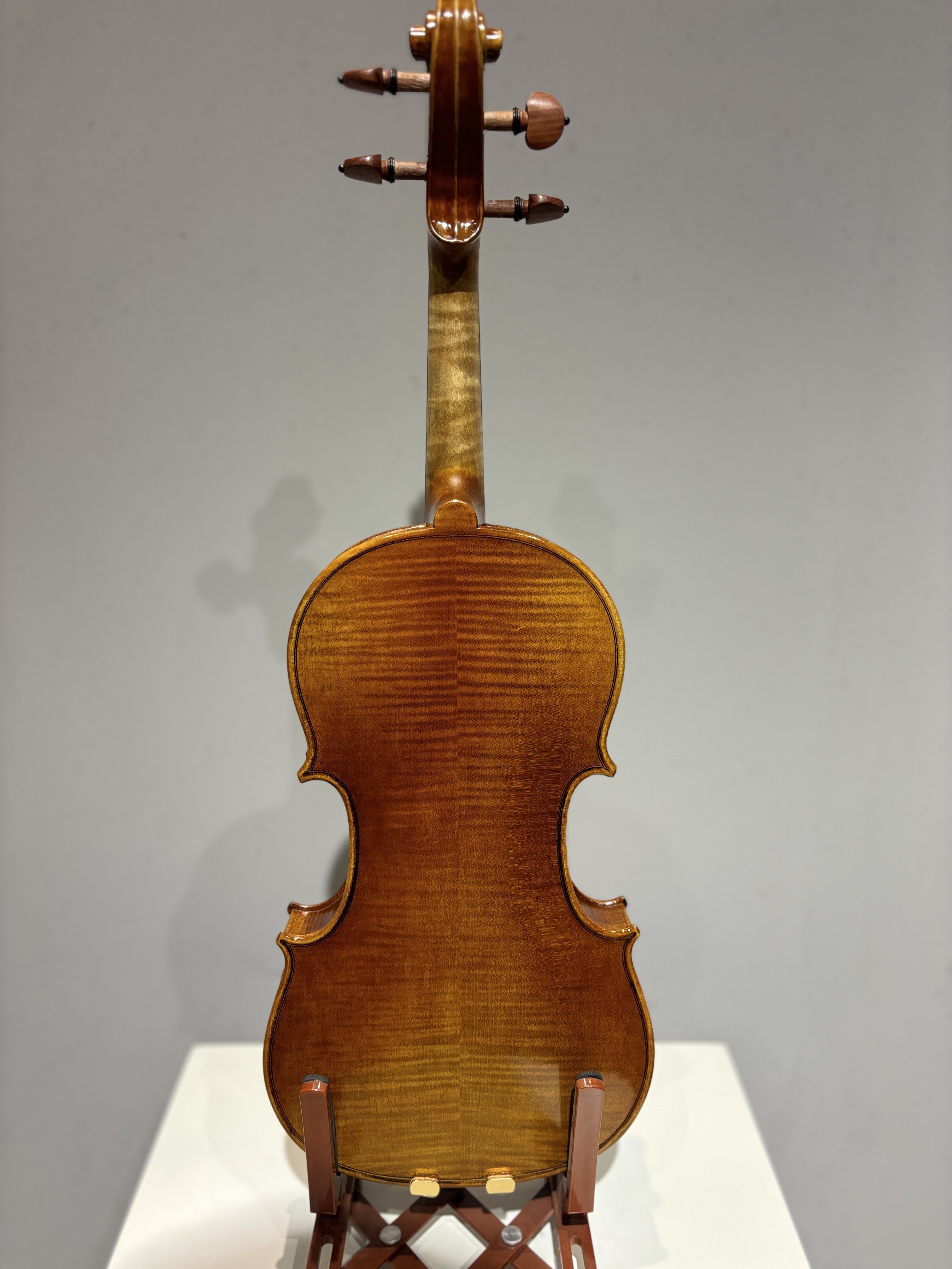 D E - PS05  Performance  Violin Outfit