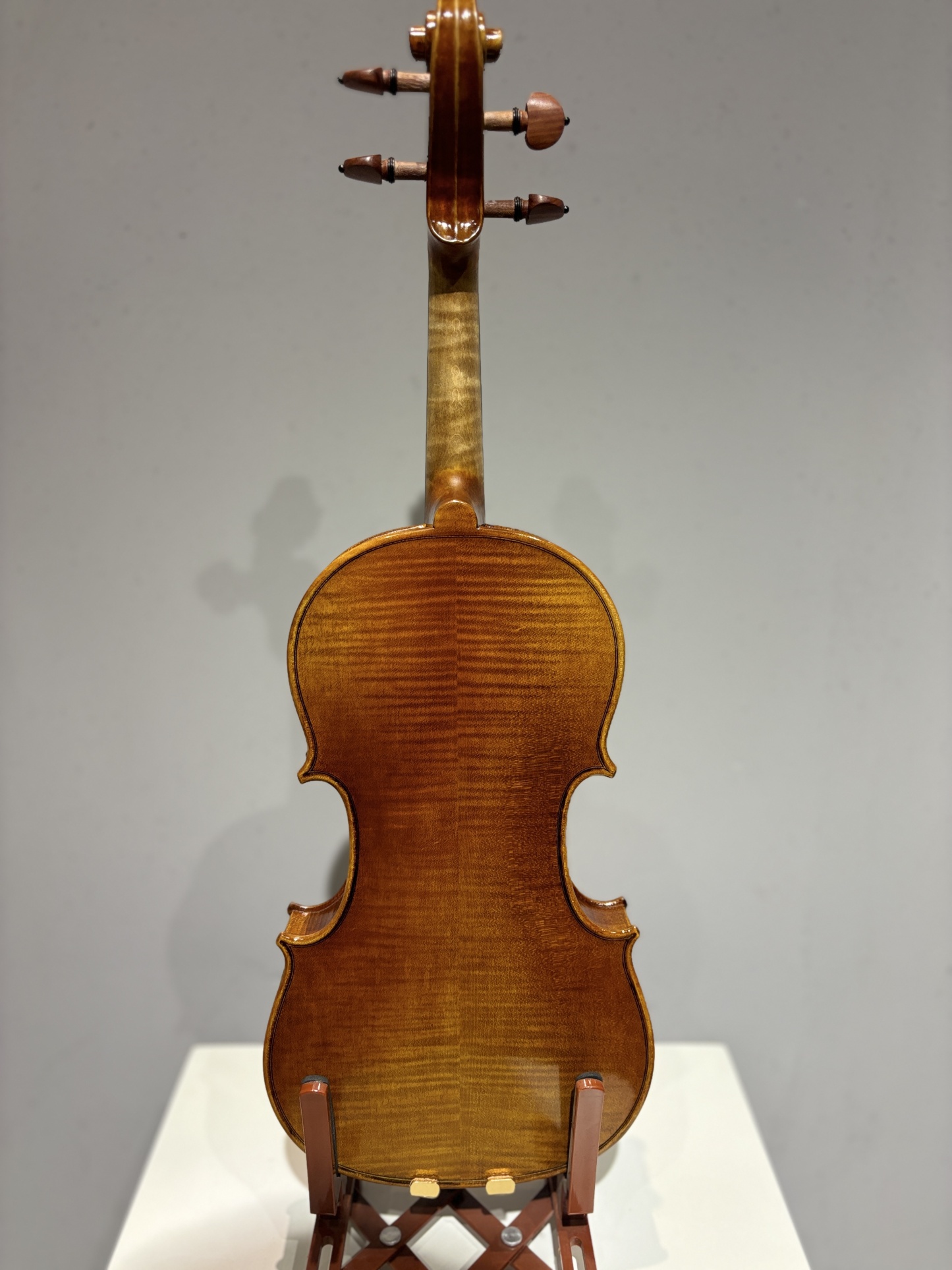 D E - PS05  Performance  Violin Outfit