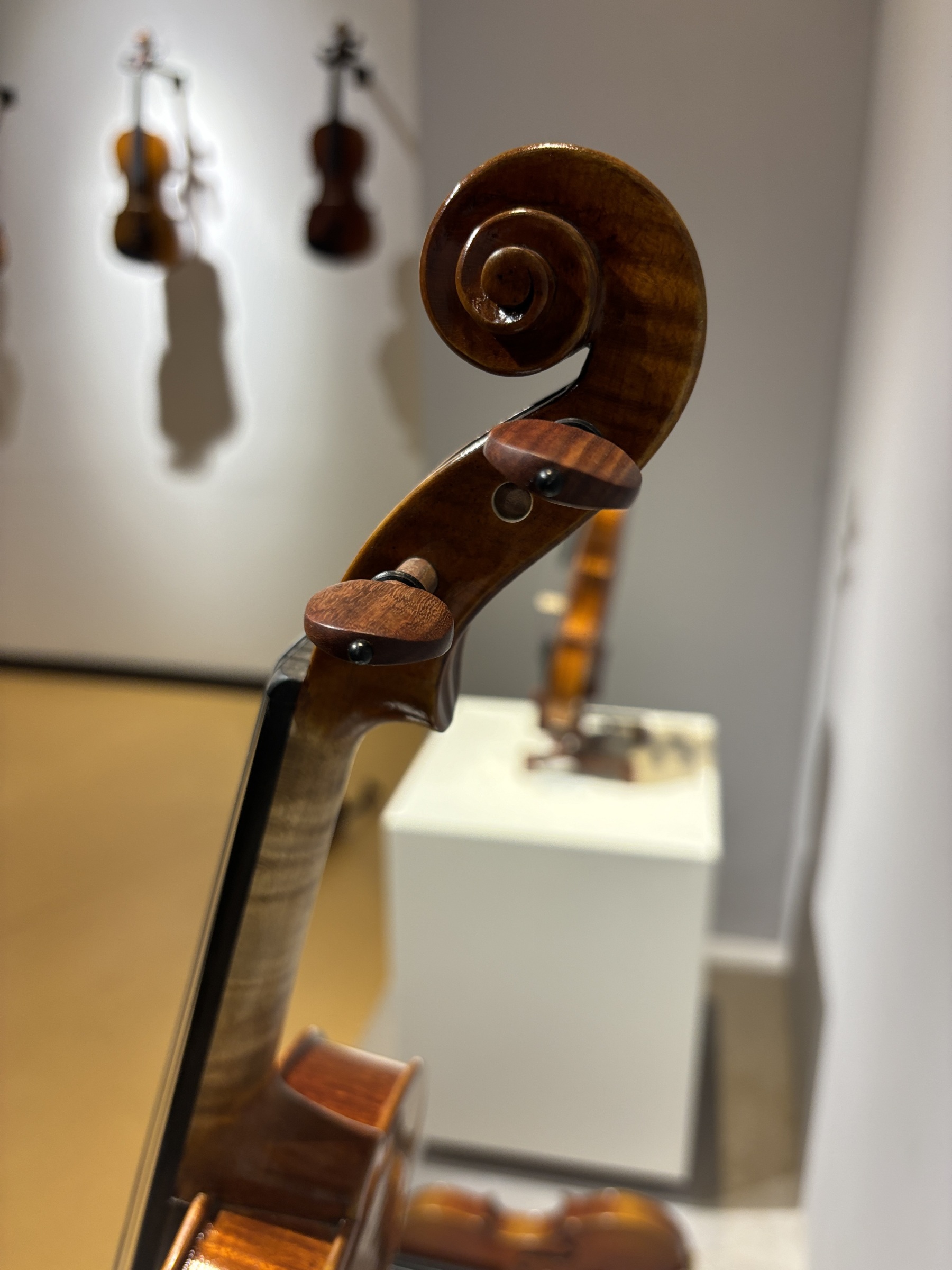 D E - PS05  Performance  Violin Outfit