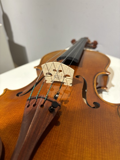 D E - PS05  Performance  Violin Outfit