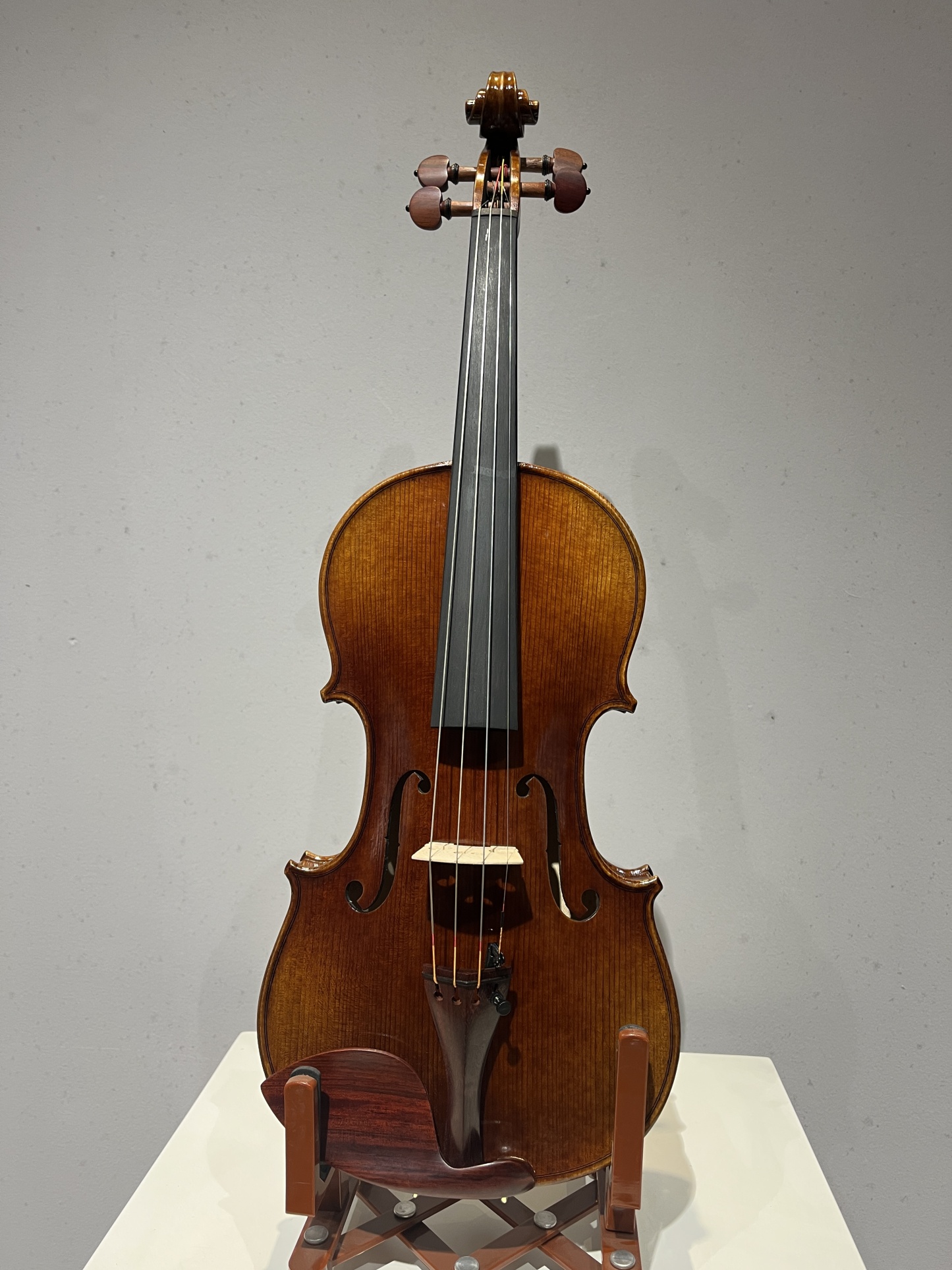 D E - PS01 Performance Violin Outfit