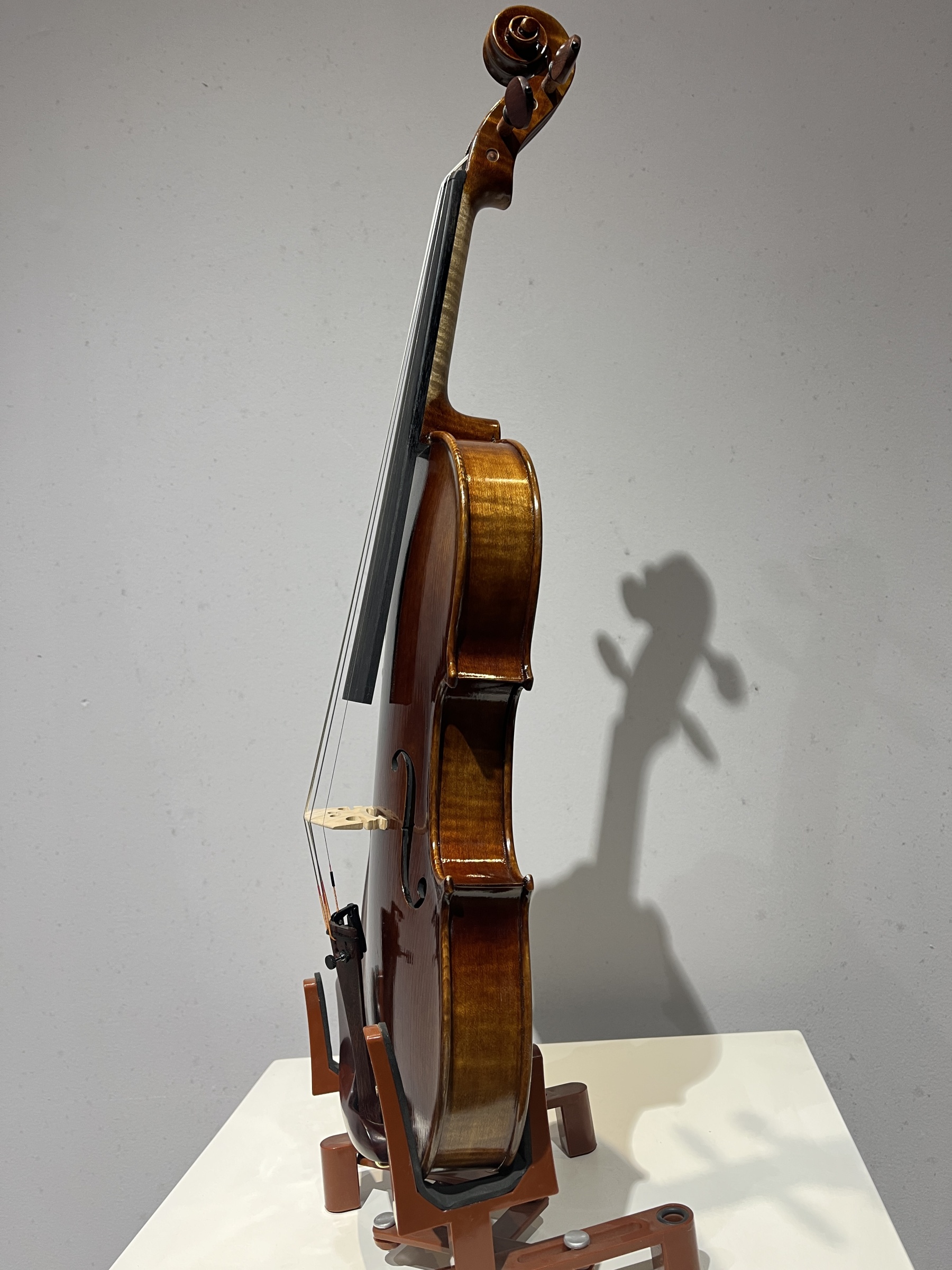 D E - PS03  Performance  Violin Outfit