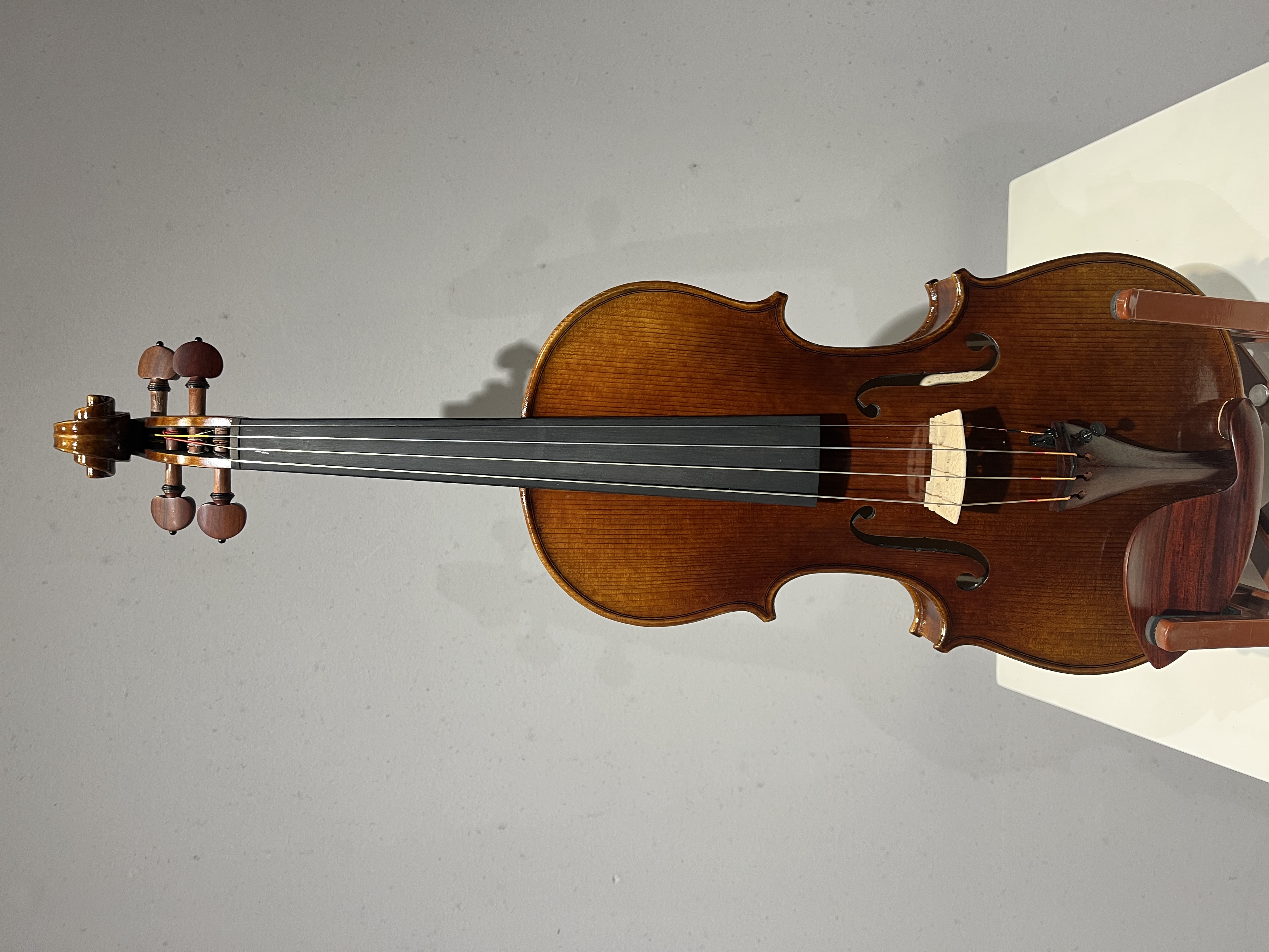 D E - PS03  Performance  Violin Outfit