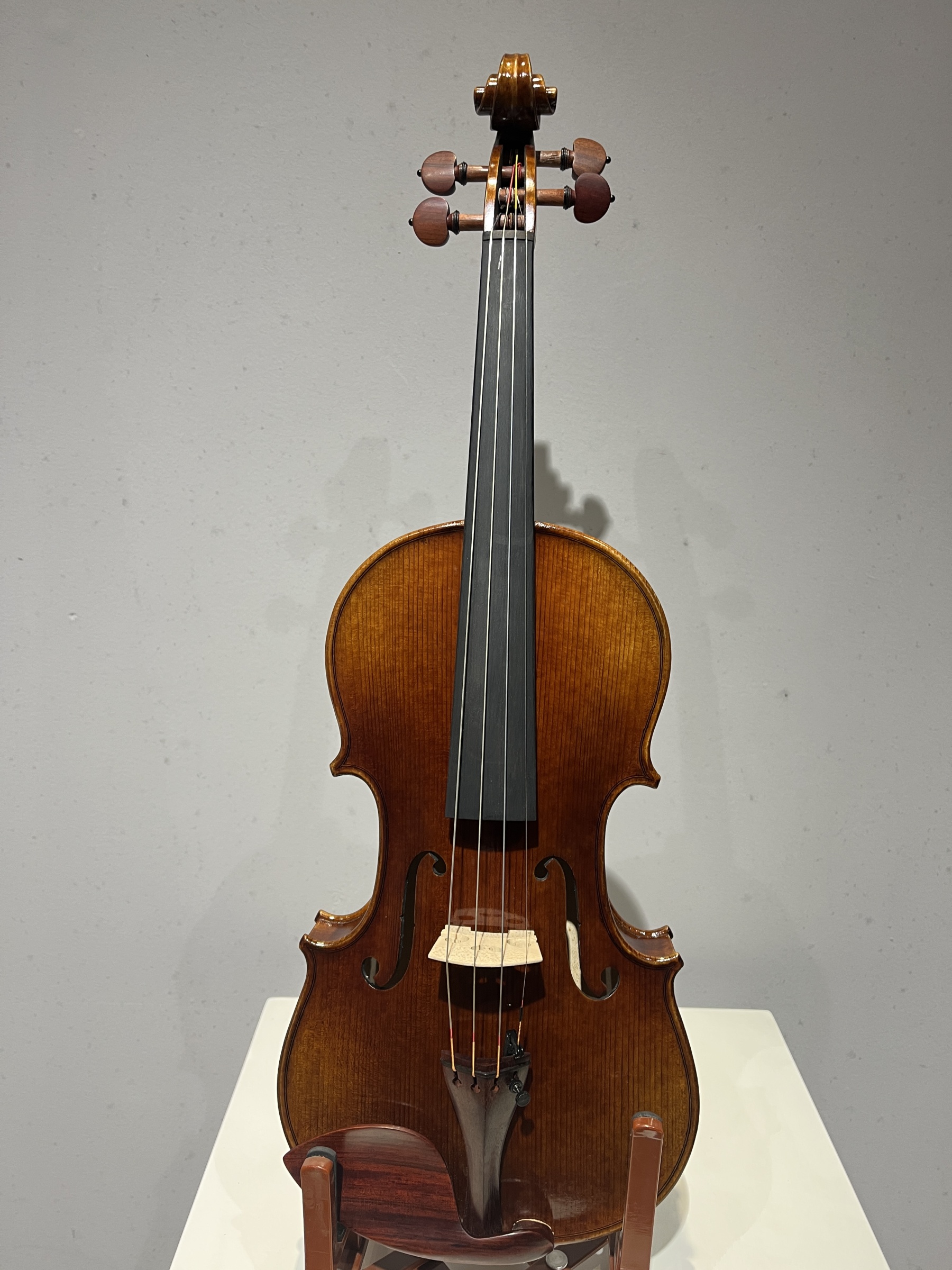 D E - PS03  Performance  Violin Outfit