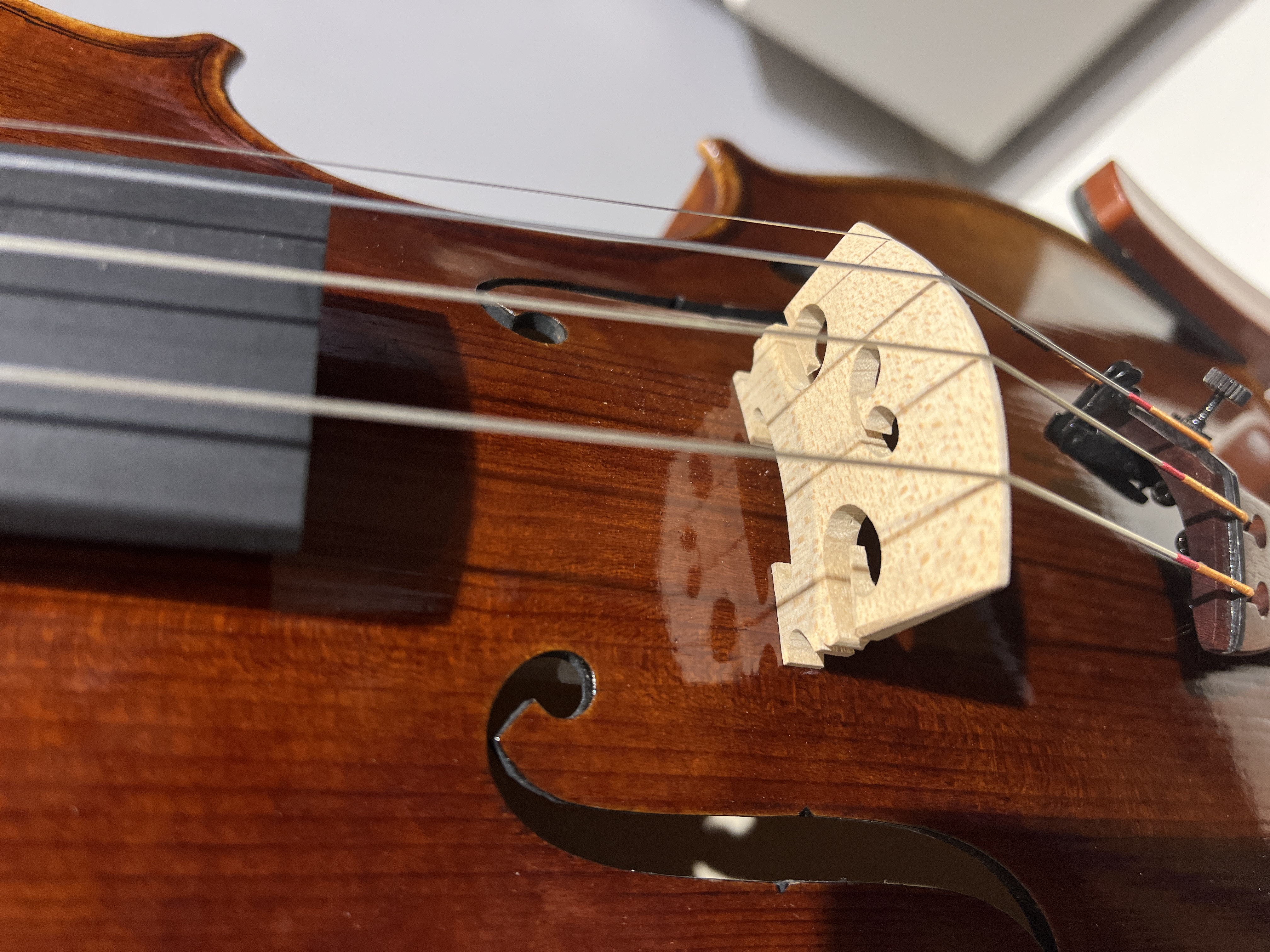 D E - PS03  Performance  Violin Outfit