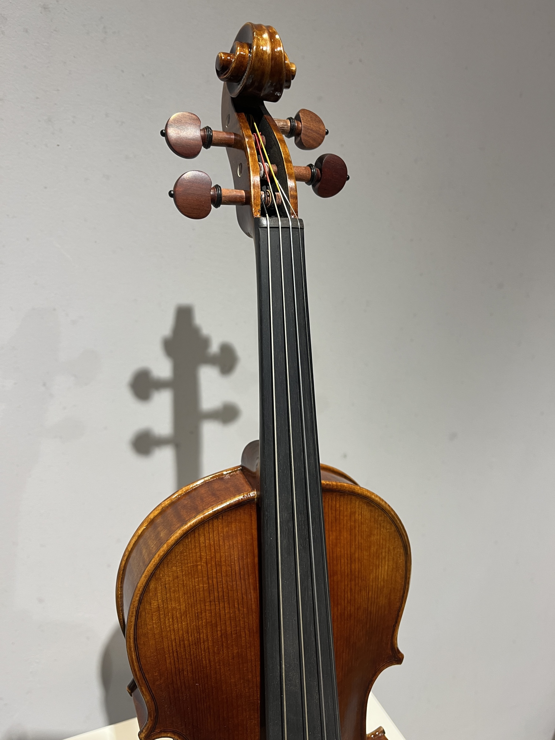 D E - PS03  Performance  Violin Outfit