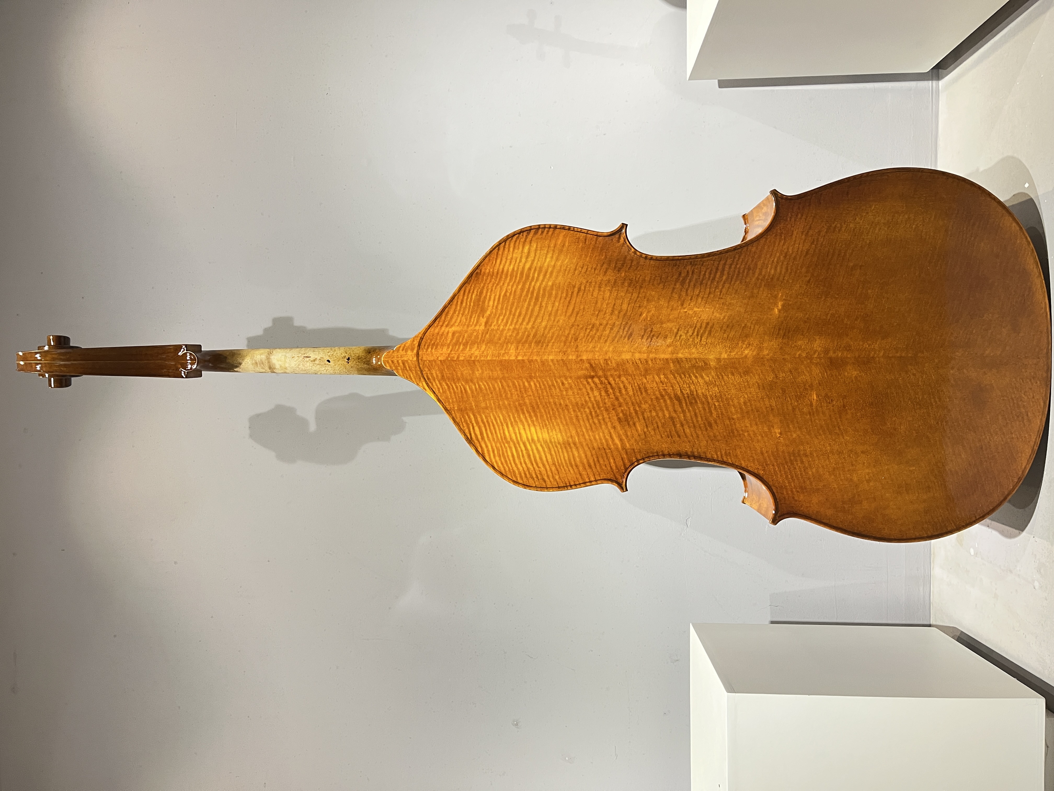Basses