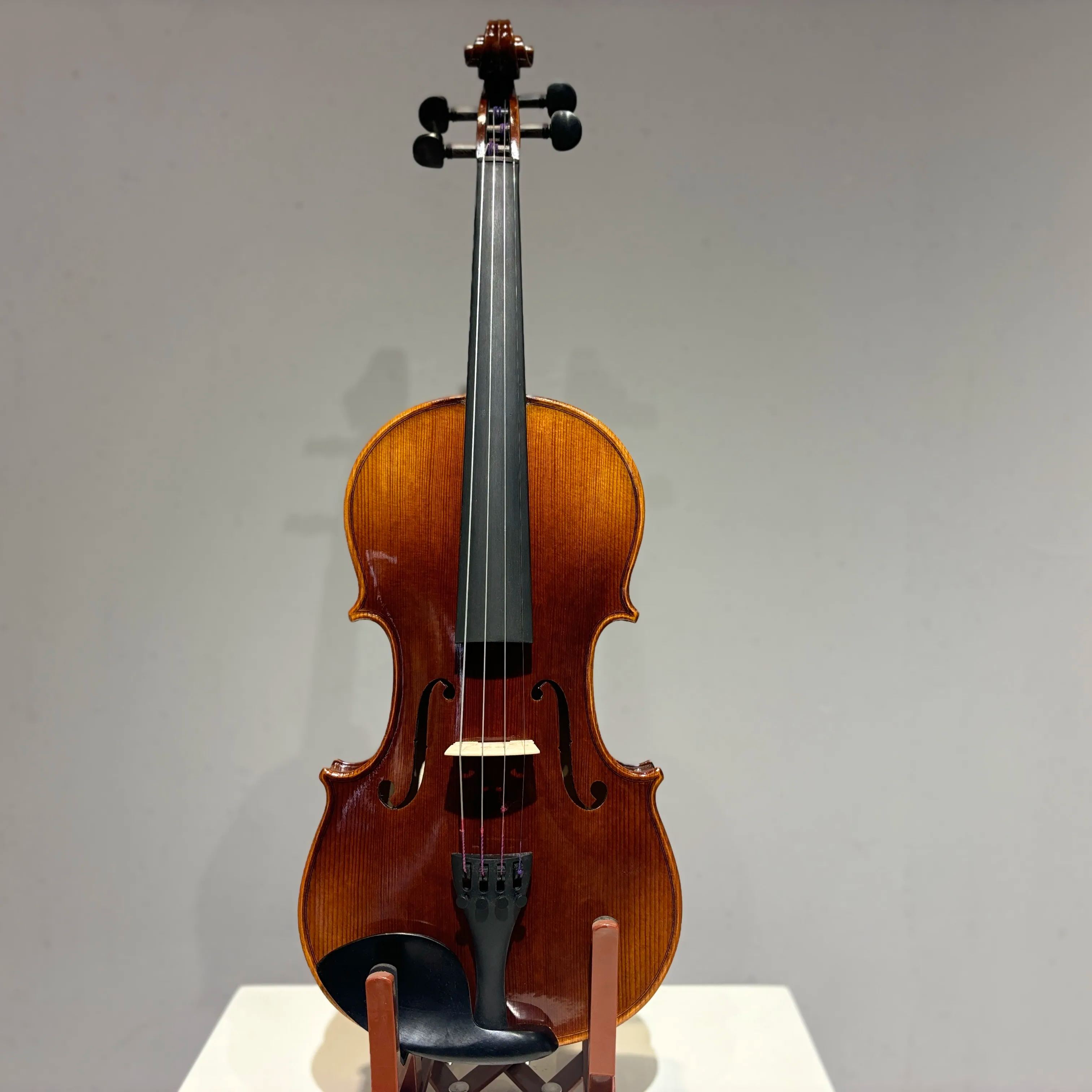 D E - CS01 Violin Outfit