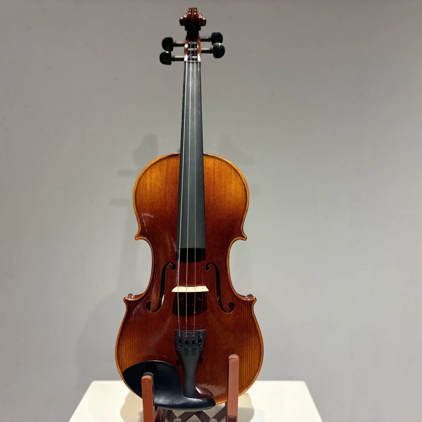 D E - CS01 Violin Outfit