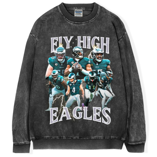 Fly Eagles Fly T-shirt/Sweatshirt