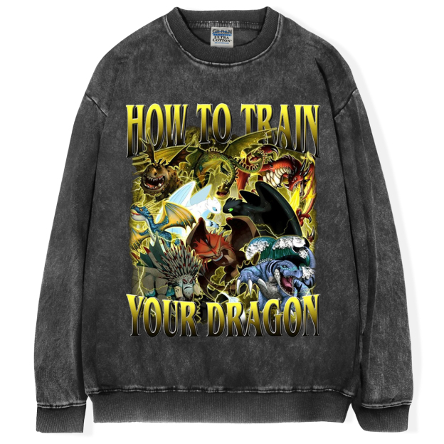 How to Train Your Dragon Vintage T-shirt/Sweatshirt