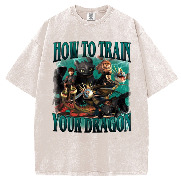 Vintage How To Train Your Dragon T-shirt/Sweatshirt