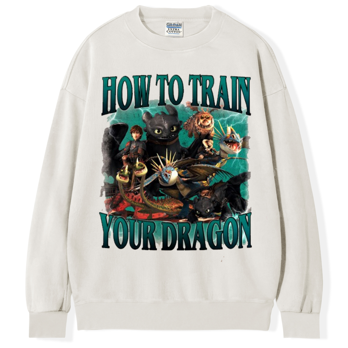 Vintage How To Train Your Dragon T-shirt/Sweatshirt