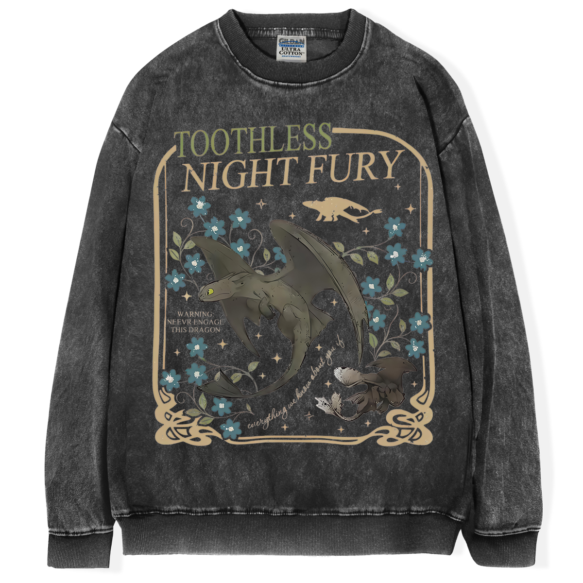 Night Fury T-shirt/Sweatshirt