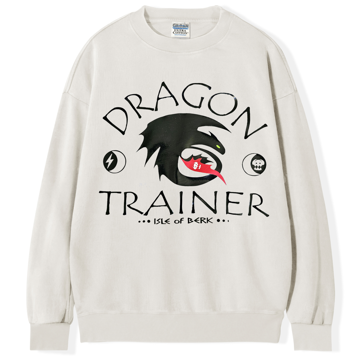 Dragon Trainer T-shirt/Sweatshirt