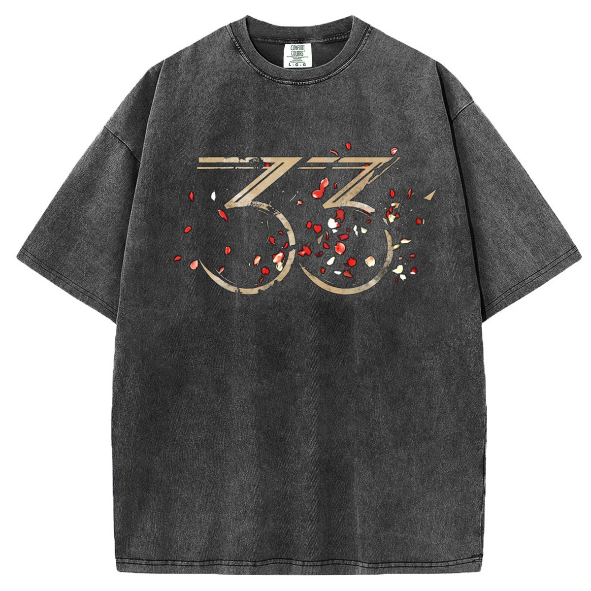 Expedition 33 T-shirt/Sweatshirt