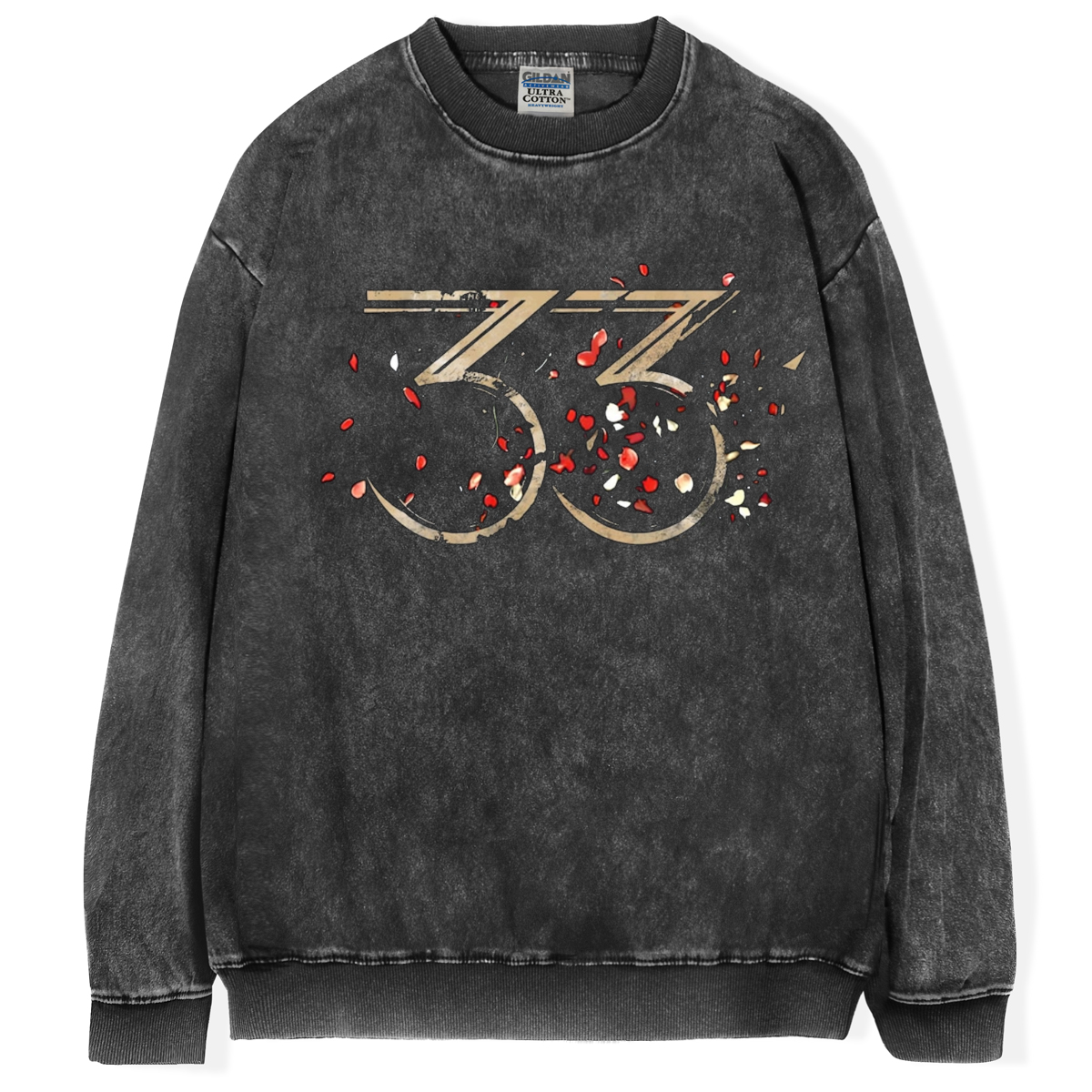 Expedition 33 T-shirt/Sweatshirt