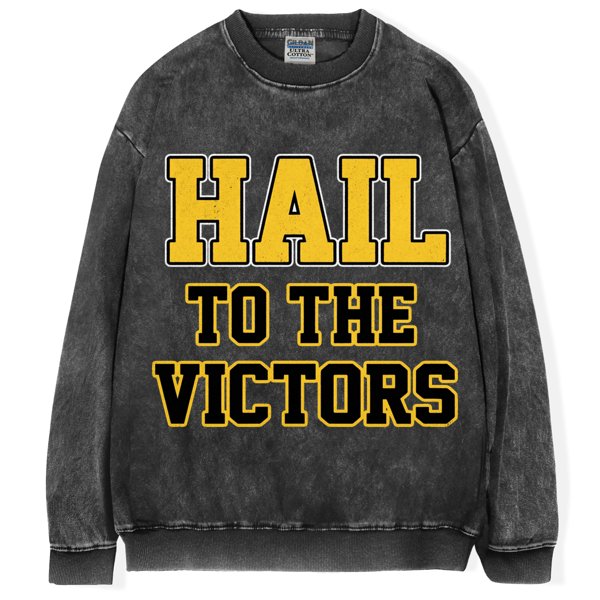 Hail To The Victors T-Shirt/Sweatshirt