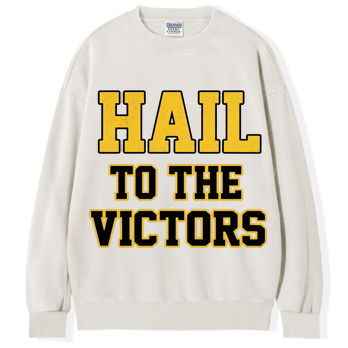 Hail To The Victors T-Shirt/Sweatshirt