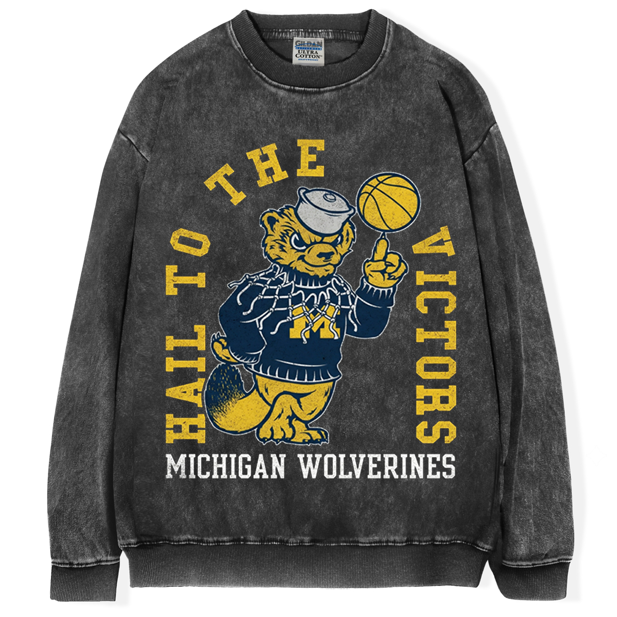 Hail To The Victors Vintage T-Shirt/Sweatshirt
