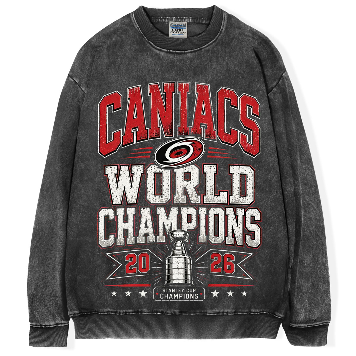 Carolina Hurricanes Champions Vintage T-shirt/Sweatshirt