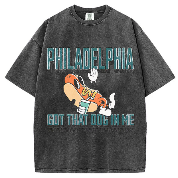 Philadelphia Eagle T-Shirt/Sweatshirt, Philadelphia Eagle Football Gift