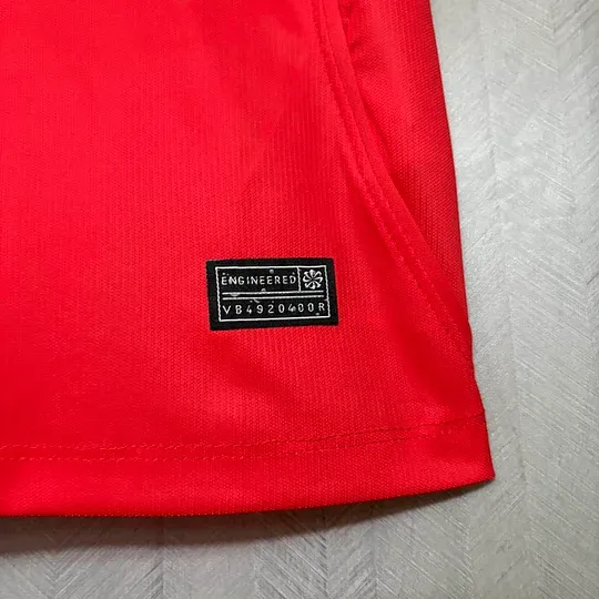 2026 Norway National Team Home Replica Jersey