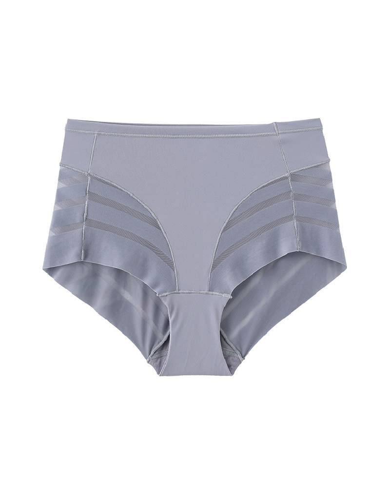 Lace Stripe Undetectable Classic Shaper Panty