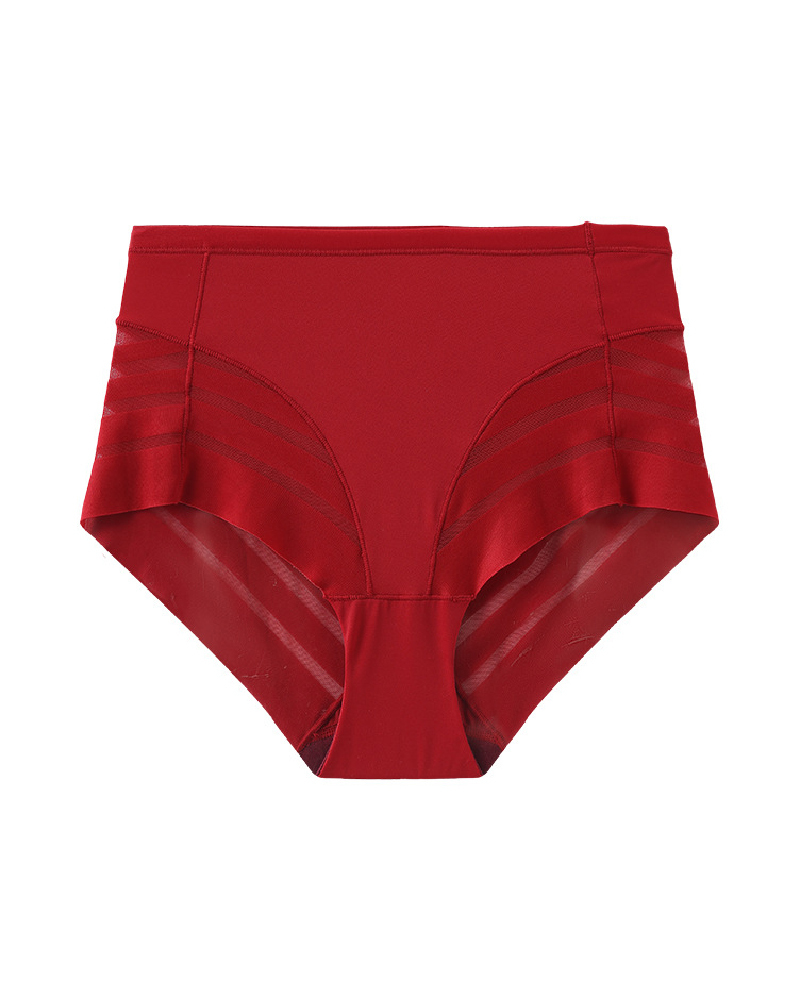 Lace Stripe Undetectable Classic Shaper Panty