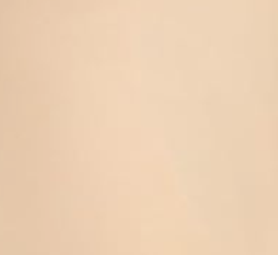 Fajas Colombianas Zipper Tummy Control Corset Shapewear