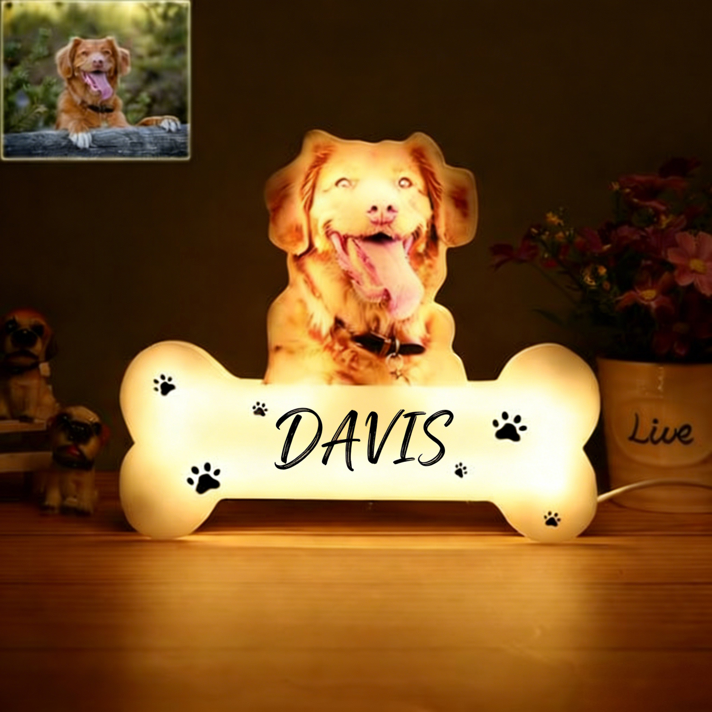 Custom Pet Portrait Acrylic Night Light, Photo & Name Personalized LED Lamp