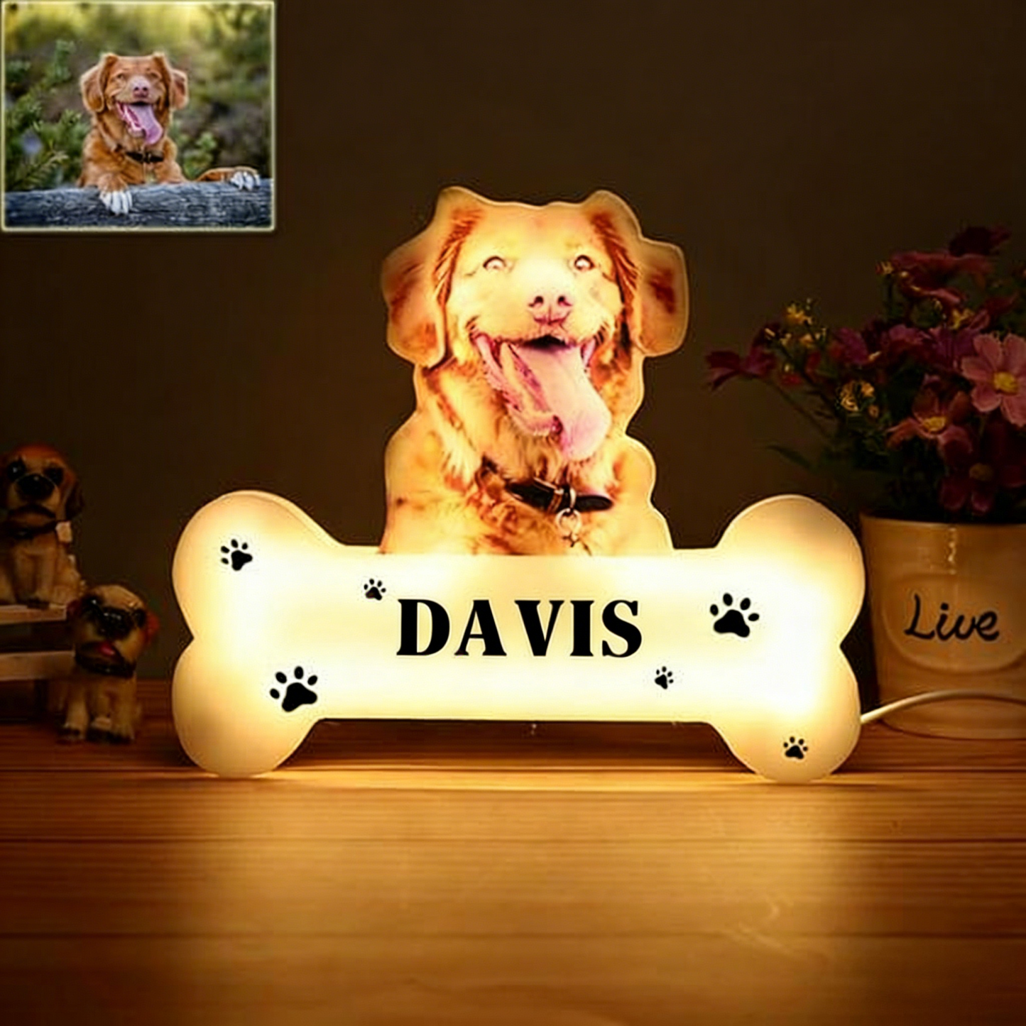 Custom Pet Portrait Acrylic Night Light, Photo & Name Personalized LED Lamp