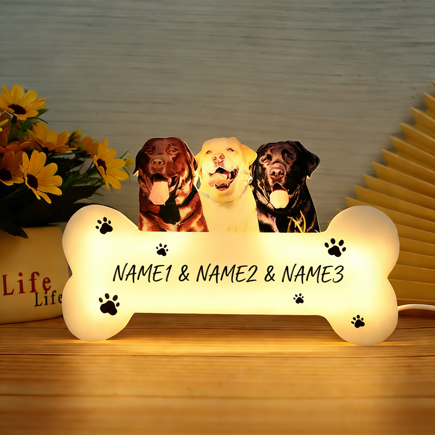 Custom Pet Portrait Acrylic Night Light, Photo & Name Personalized LED Lamp