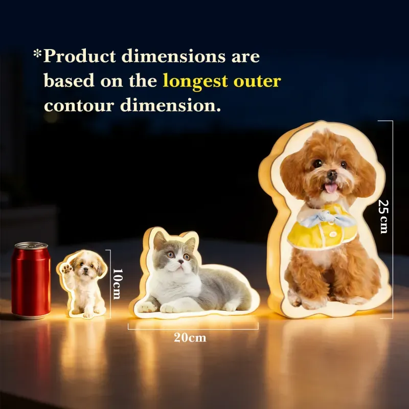 Personalized Cat & Dog Motion Sensor Wall Lamp Custom Pet Photo Night Light for Pet Lover