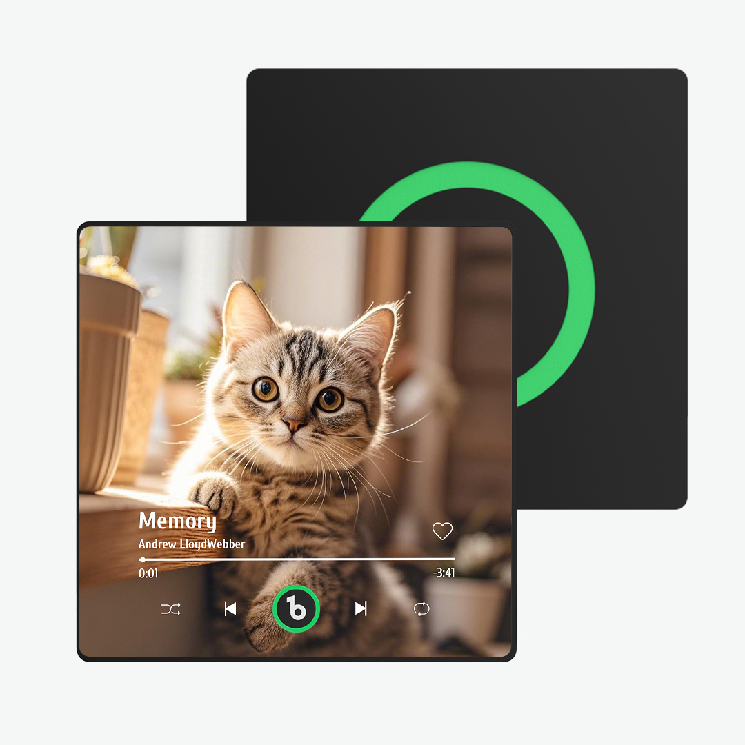 Custom Pet Music Fridge Magnet Colorful Frame Album Fridge Magnet Music Wall Photo Sticker Music Movement That Can Be Played Gift for Pets