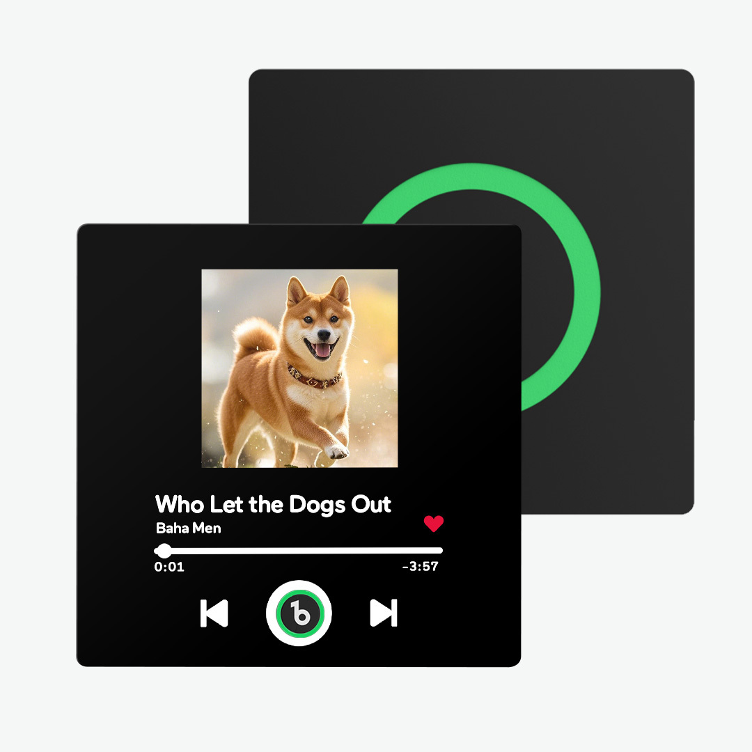 Custom PetMusic Fridge Magnet with Spotify Code Colorful Album Fridge 