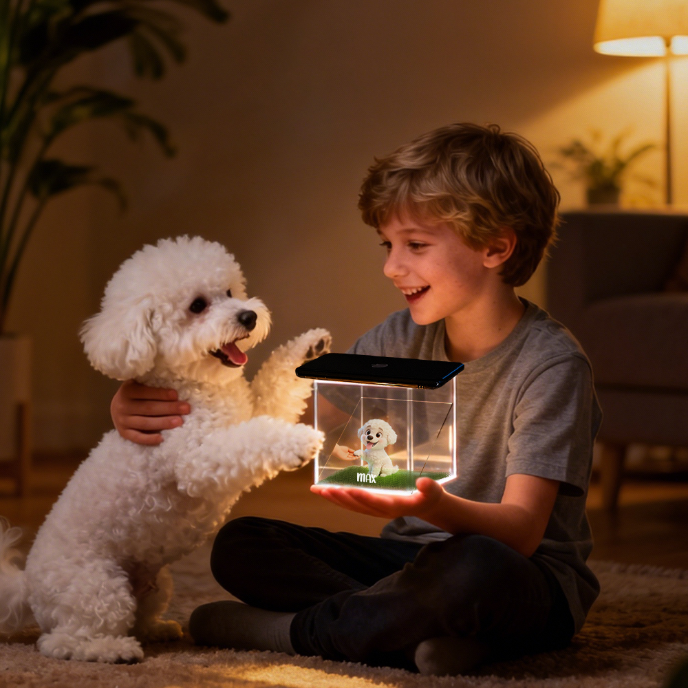 Pet Cartoon Holographic Lumina Boxes | High-Transmittance Holographic Material Image DIY Pet Holographic House For Dogs/Cats